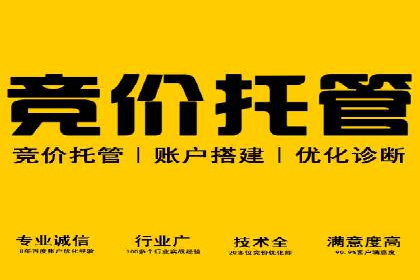 百度竞价排名：企业营销新利器案例分析